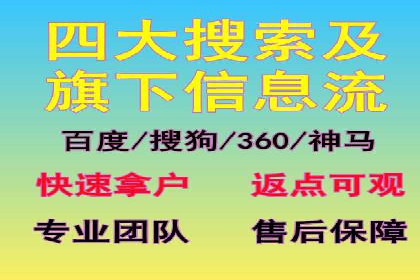 SEM代运营服务公司案例分析：数据驱动营销策略